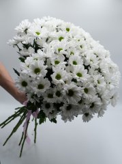 Букет №16 из кустовых хризантем